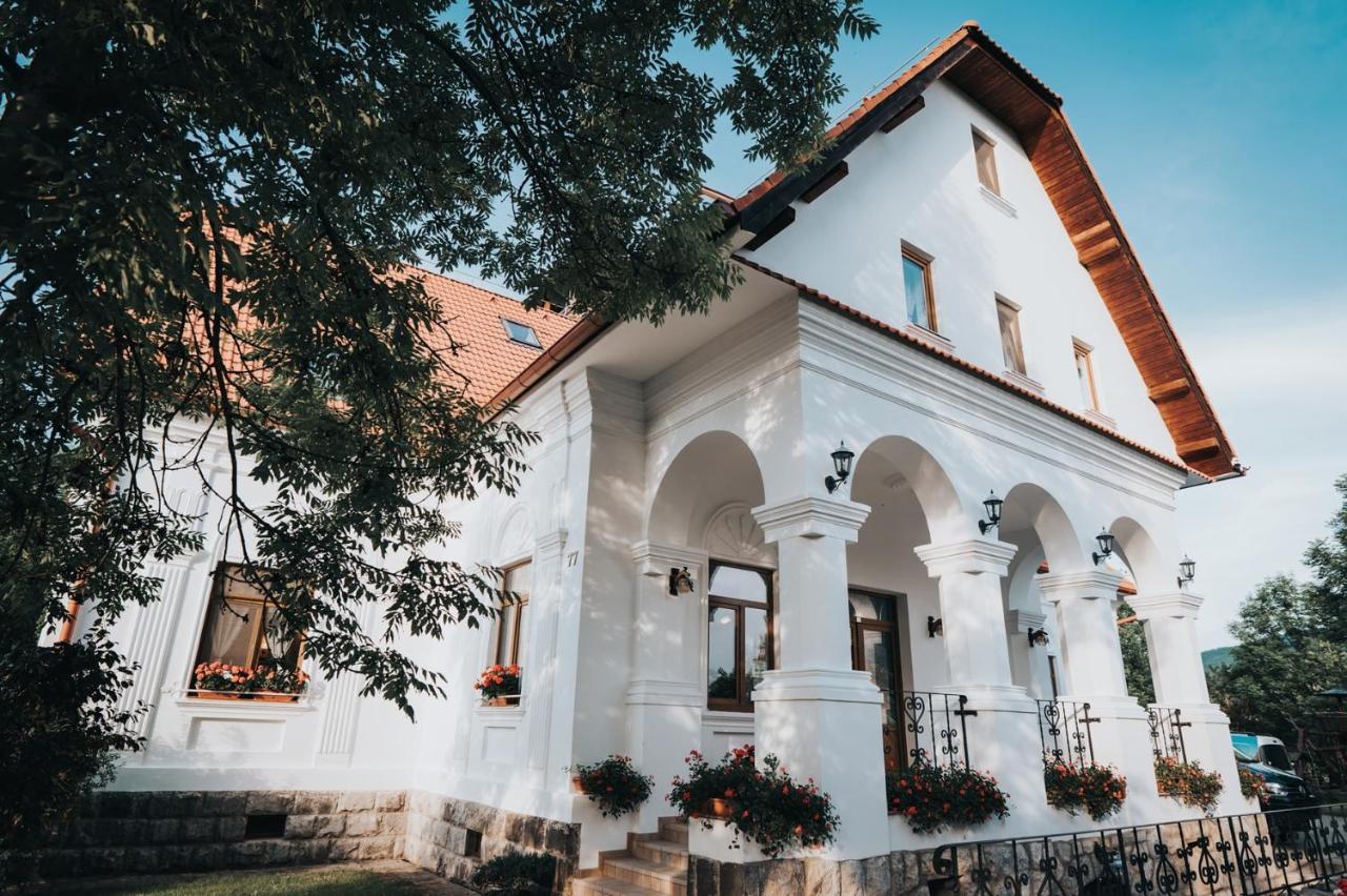 Hotel Conacul Secuiesc-Szekelyko Kuria à Coltesti Extérieur photo