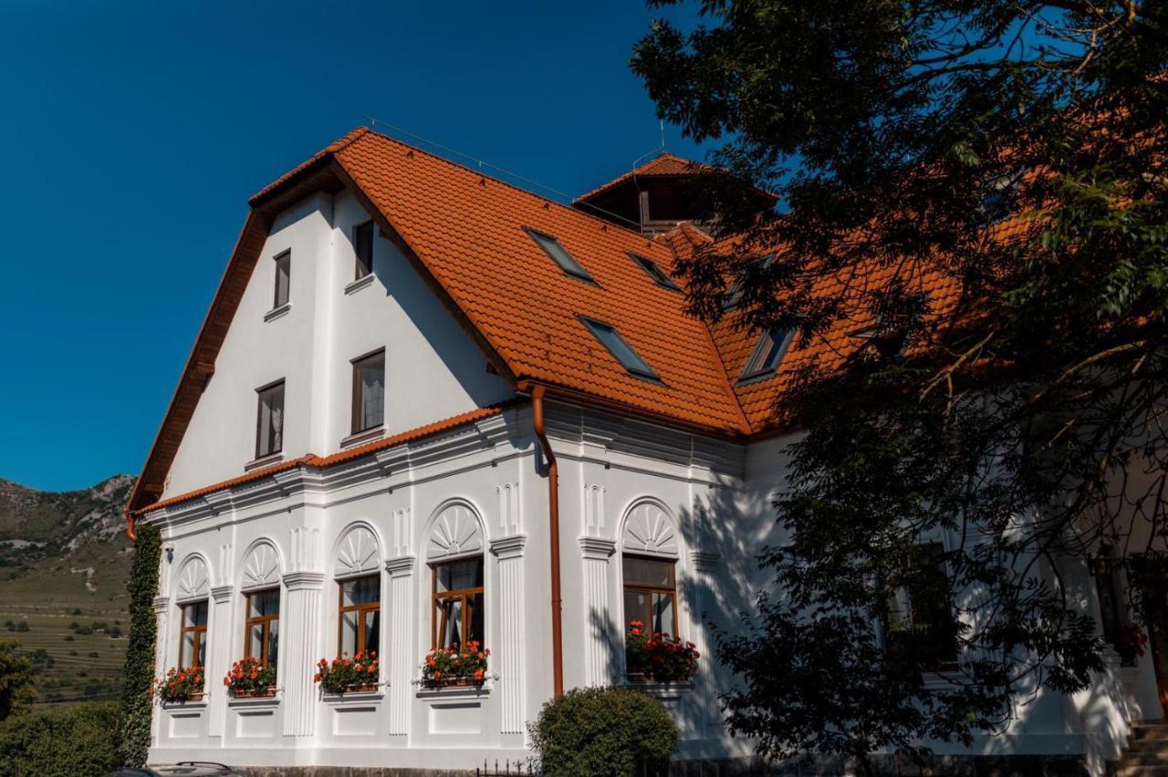 Hotel Conacul Secuiesc-Szekelyko Kuria à Coltesti Extérieur photo