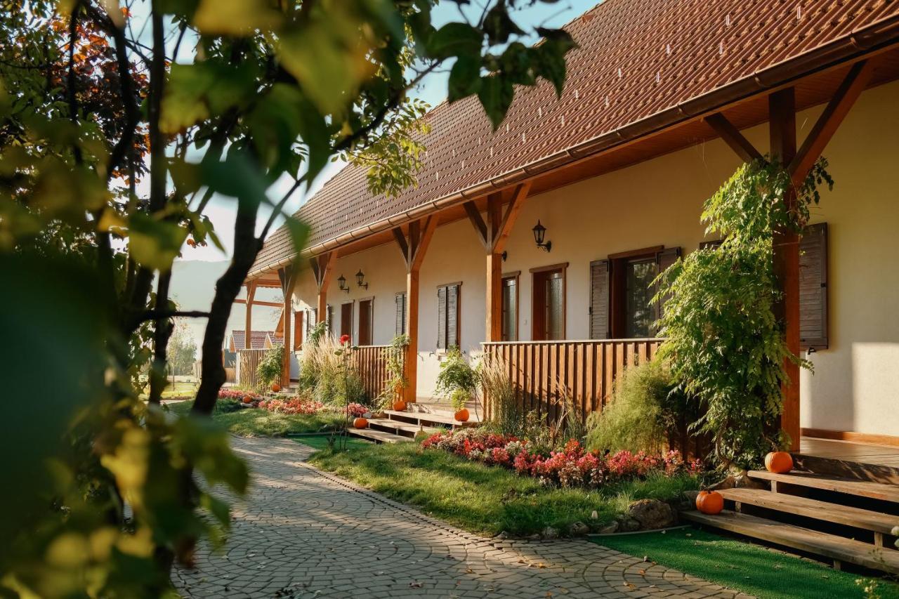 Hotel Conacul Secuiesc-Szekelyko Kuria à Coltesti Extérieur photo