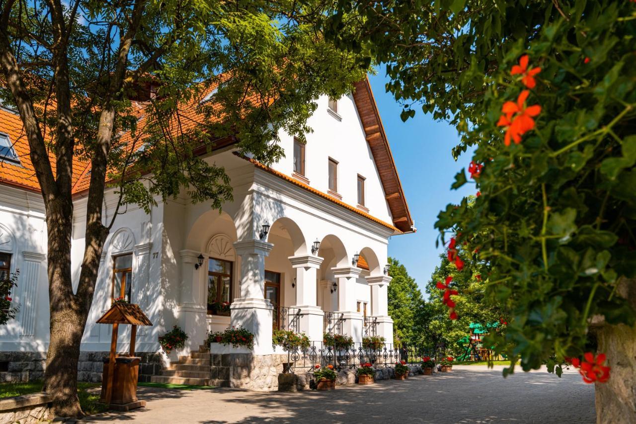 Hotel Conacul Secuiesc-Szekelyko Kuria à Coltesti Extérieur photo